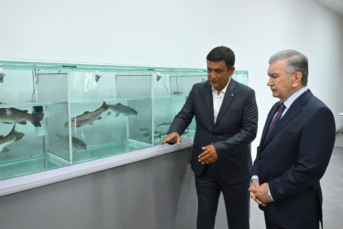 Prezident Norin tumanidagi “Fishvel Norin” korxonasi faoliyati bilan tanishdi