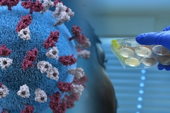 Scientists reveal temperature that kills coronavirus