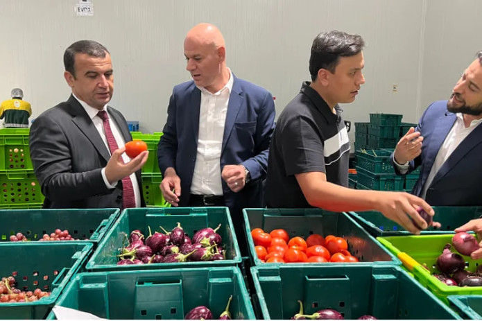 Buxoroda yetishtirilgan meva-sabzavotlar va parrandachilik mahsulotlari Qatarga eksport qilinadi