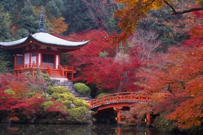 Япония привлекает туристов отсутствием туристов