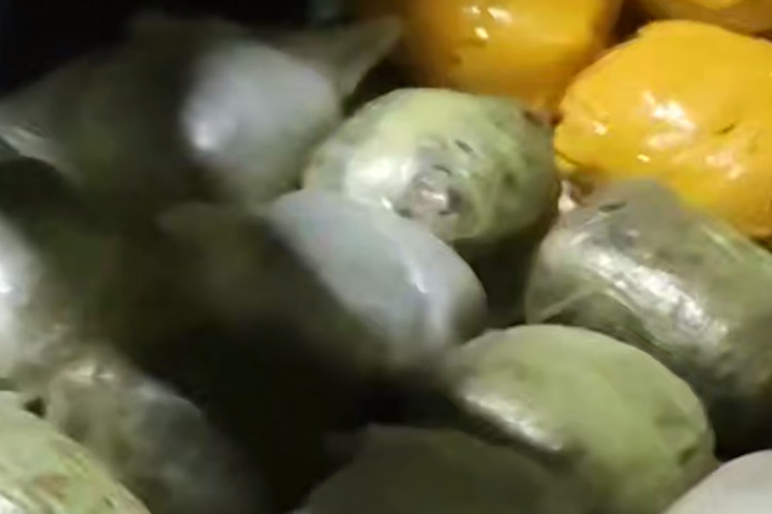 Tojikistondan olib kelingan qariyb 50 kg “opiy” giyohvandlik vositasi musodara qilindi