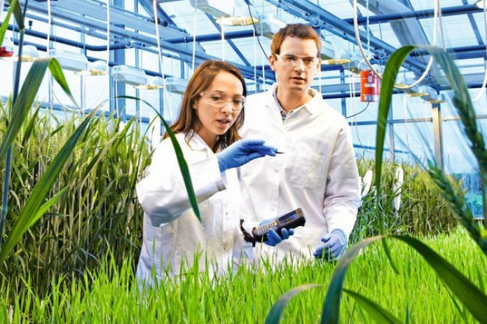 В Узбекистане будет создан Нидерландский Центр агротехнологий