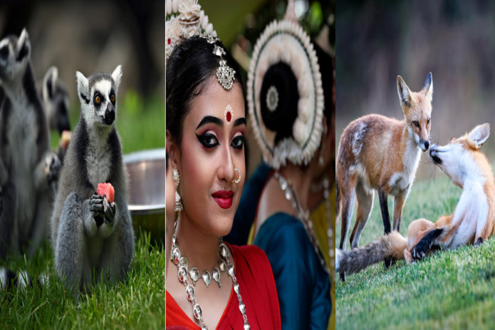 Hindistondagi Ratha Yatra festivali ishtirokchilari, Xitoy hayvonot bog‘idagi halqa dumli lemurlar, Kaliforniyaning Santa Klara shahridagi tulkilar. Kun suratlari