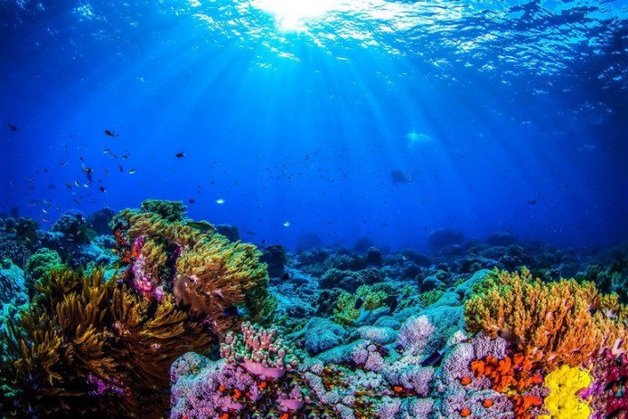 June 8 marks World Oceans Day