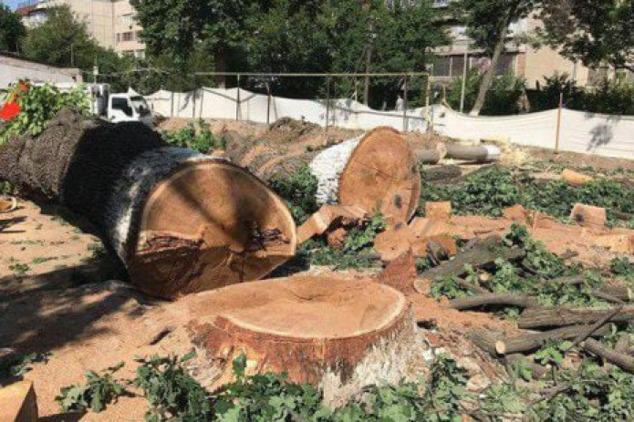 Ekologiya vazirligi Murod Nazarovning taklifiga munosabat bildirdi