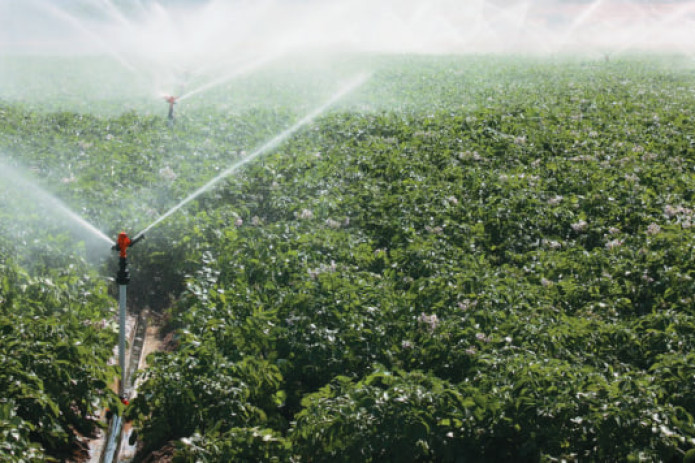 Suv tejovchi texnologiyalarni joriy qilish tizimini takomillashtiriladi