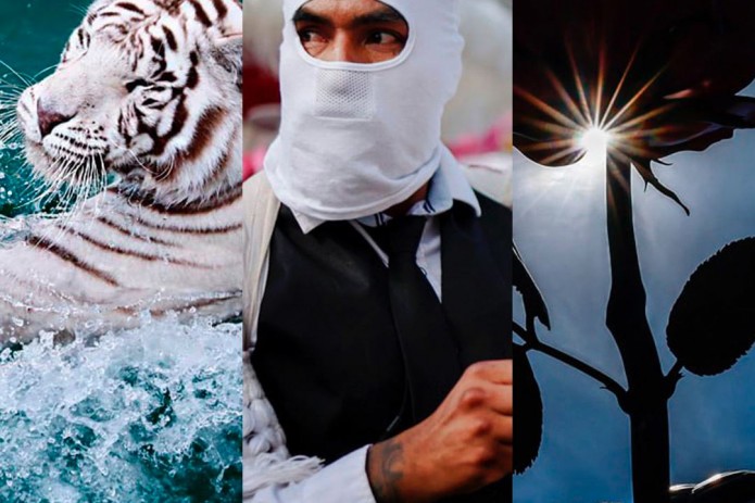 Берлиндаги "Пушти атиргул" ҳайкали, Бенгал йўлбарслари учун очилган сузиш ҳавзаси, Гавайидаги Килауеа вулқони. 12 сентябр суратлари