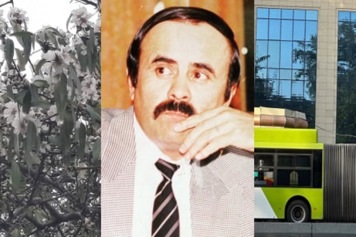 29-noyabr kuni O‘zbekistonda sodir bo‘lgan eng muhim voqealar dayjesti