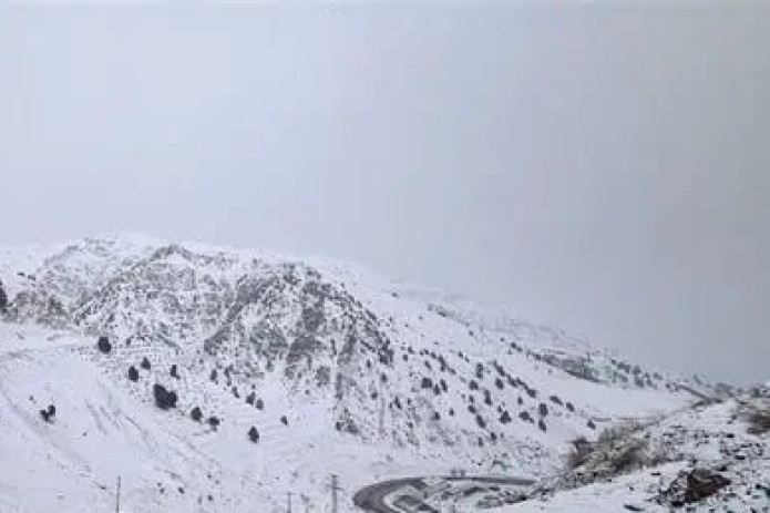 Toshkent viloyatida qor ko‘chish xavfi e’lon qilindi