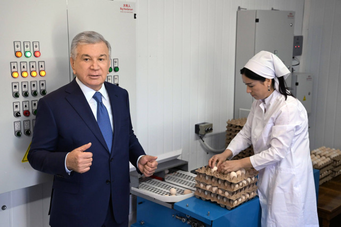 Shavkat Mirziyoyev “Kegeyli baraka naslli parranda” korxonasi faoliyati bilan tanishdi