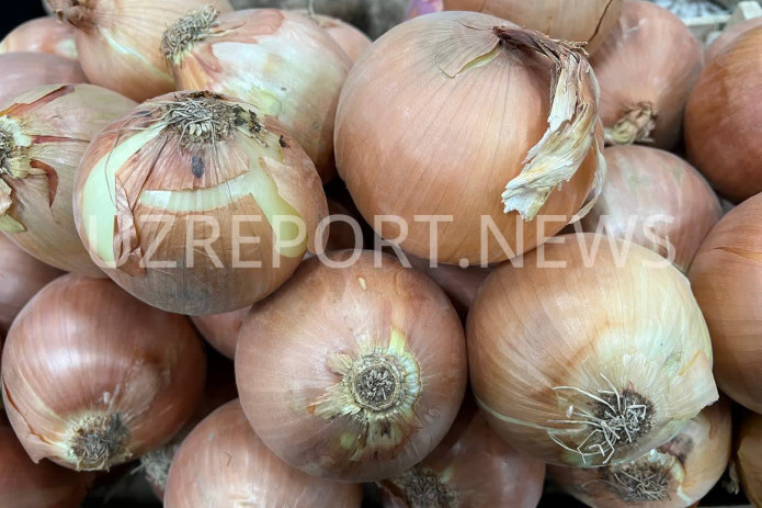 O‘zbekistonda yangi hosil piyozi narxlari rekord darajaga yetdi