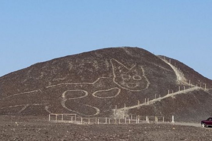 Porno yulduzlarning goshtli mushuklari fotosuratlari