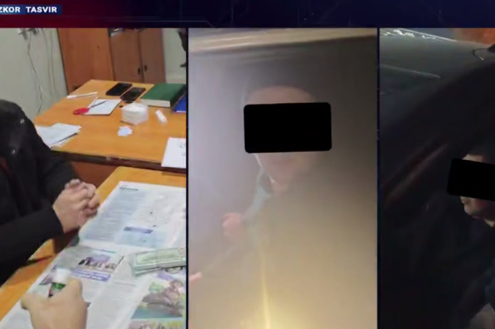 Pop ixtisoslashtirilgan davlat o‘rmon xo‘jaligi mansabdor shaxslari bilan bog‘liq noqonuniy holatlar aniqlandi