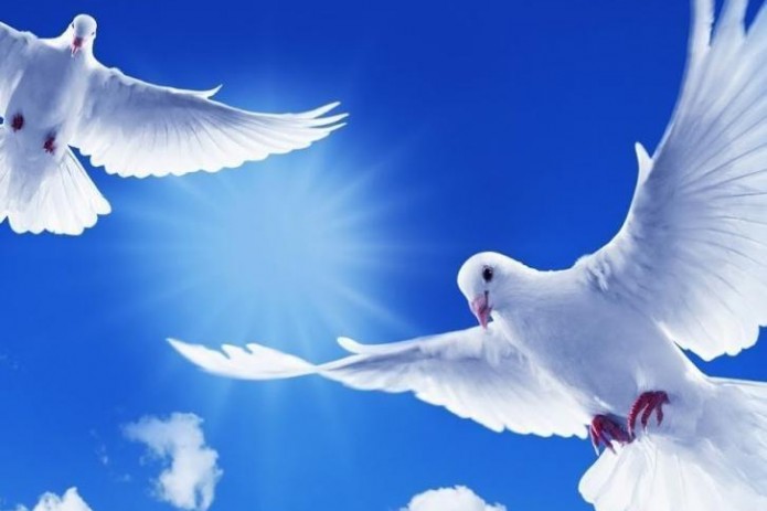 Bugun Xalqaro tinchlik kuni