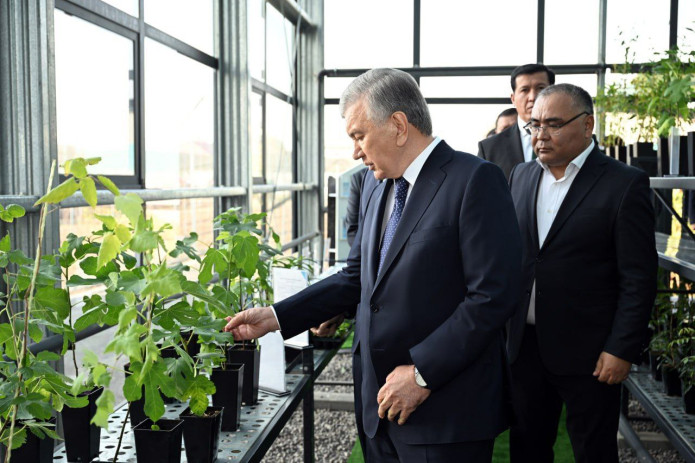 Prezident Shavkat Mirziyoyev Sharof Rashidov tumanidagi “Agromarkaz” qishloq xoʻjaligi korxonalari majmuasida boʻldi