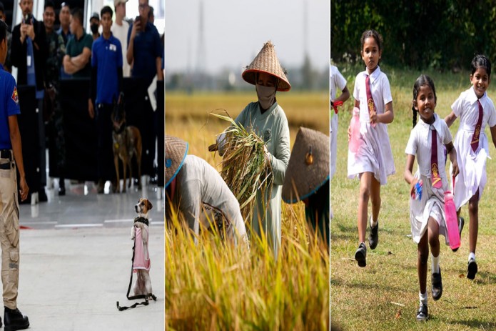 Indoneziyada guruch yig'imi, Hindistonning Jammu shahridagi to'tiqushlar, Texasdagi o'rmon yong'inlarining oqibatlari. Kun suratlari