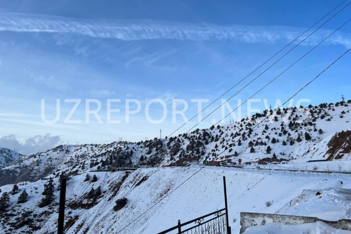 10-dekabr: Bugun O’zbekistonning barcha hududida yog’ingarchilik bo’lmaydi, harorat ba’zi joylarda 15 darajagacha isiydi