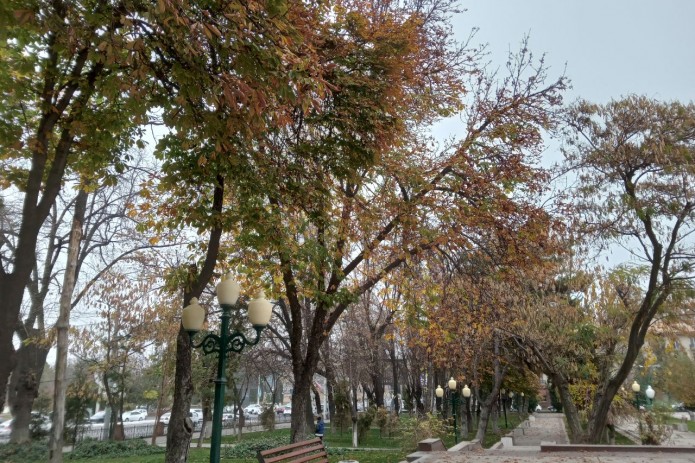 8-dekabr kuni O'zbekiston hududlari bo'ylab yomgʻir yog‘ishi mumkin. Harorat kunduzi 6-8 daraja iliq bo‘ladi