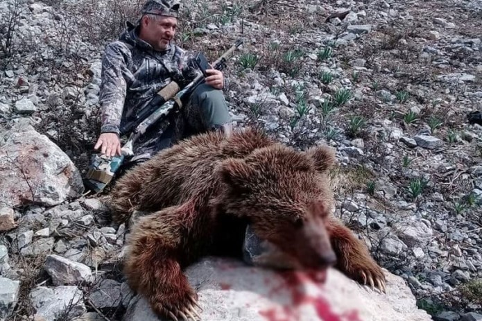 Гражданин России застрелил в Узбекистане бурого Тянь-Шаньского медведя, который занесен в Красную книгу