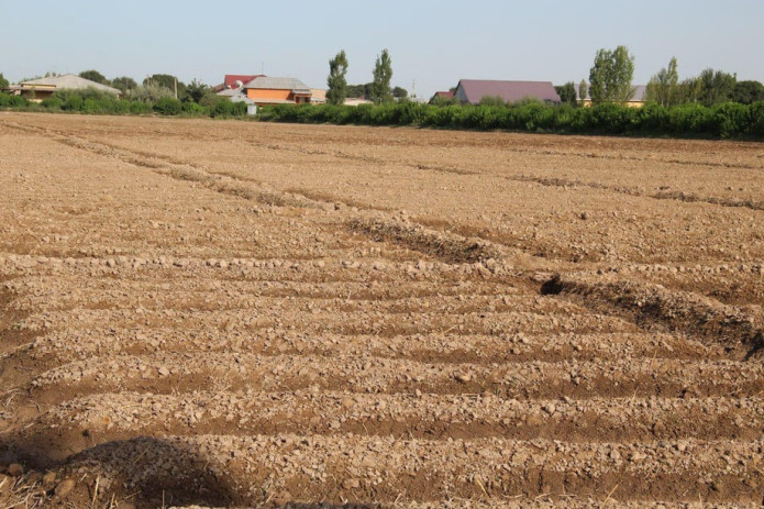Kadastr agentligi: O‘zboshimcha egallangan yerlarni qonuniylashtirish qimmatlashmaydi