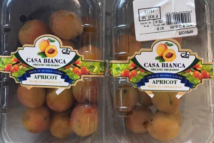 На индийский рынок поставлена первая партия узбекских абрикосов