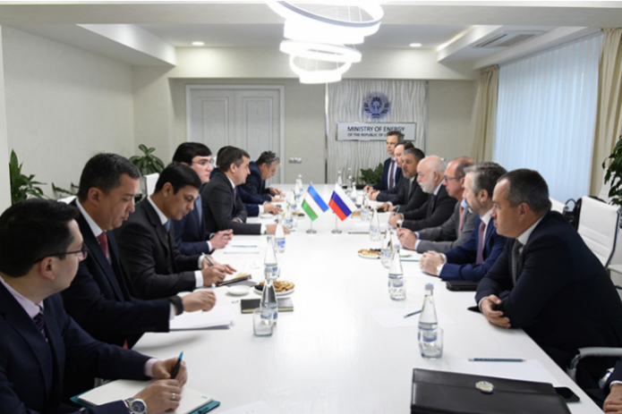 Российская «Ренова» предлагает создать в Узбекистане СП по производству солнечных панелей