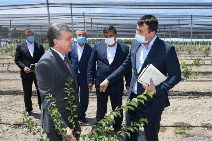 Президент Шавкат Мирзиёев начал свой рабочий визит в Фергану