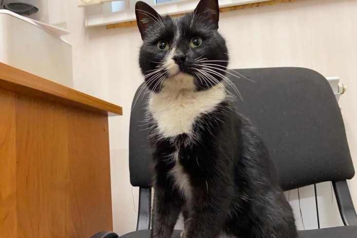 Ispan orgiyalari Porno Vika, aka Pamela Priscila