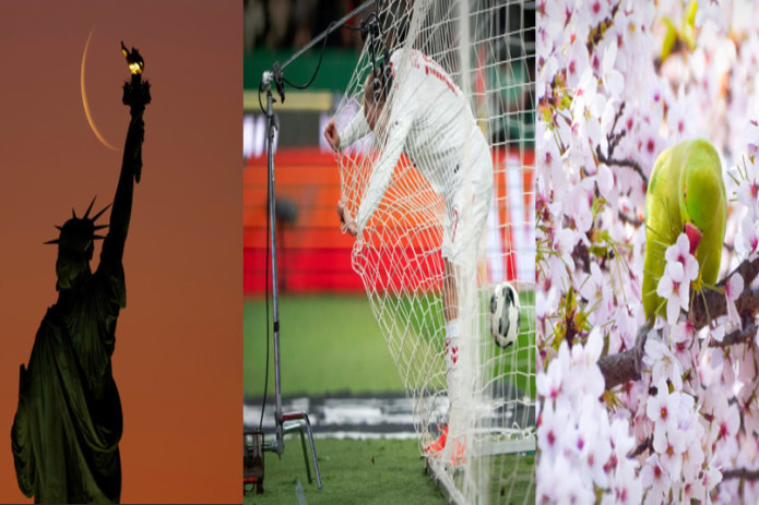 Nyu-Yorkdagi Ozodlik haykali ortidagi oy, Portugaliya va Daniya terma jamoalari o'rtasidagi futbol o'yini vaqtida, Londondagi bog'da gilos gullari orasidagi to'tiqush. Hafta suratlari