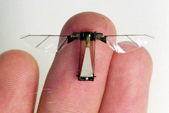 Xitoyda chivindek keladigan harbiy dron ishlab chiqildi