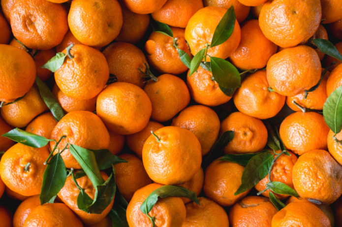 O‘zbekiston Xitoydan mandarin va ananas importini vaqtincha taqiqladi