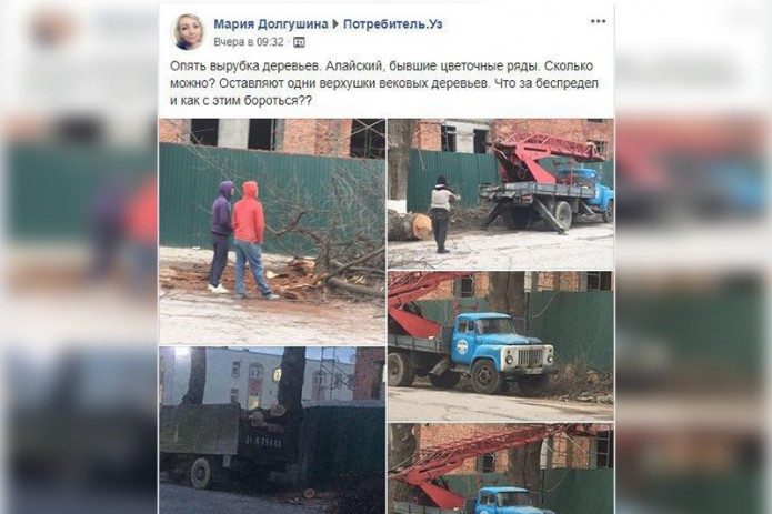 ГУВД и Хокимият Ташкента отреагировали на сообщение в соцсети о спиле деревьев