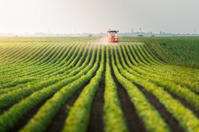 Jizzax viloyatida sanoat va qishloq xo‘jaligi boshqaruvi takomillashtiriladi