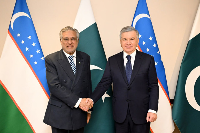 Oʻzbekiston Prezidenti Pokiston Bosh vaziri oʻrinbosarini qabul qildi