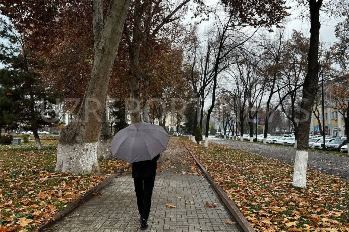 Haftaning ikkinchi yarmida yomg‘ir yog‘ishi mumkin