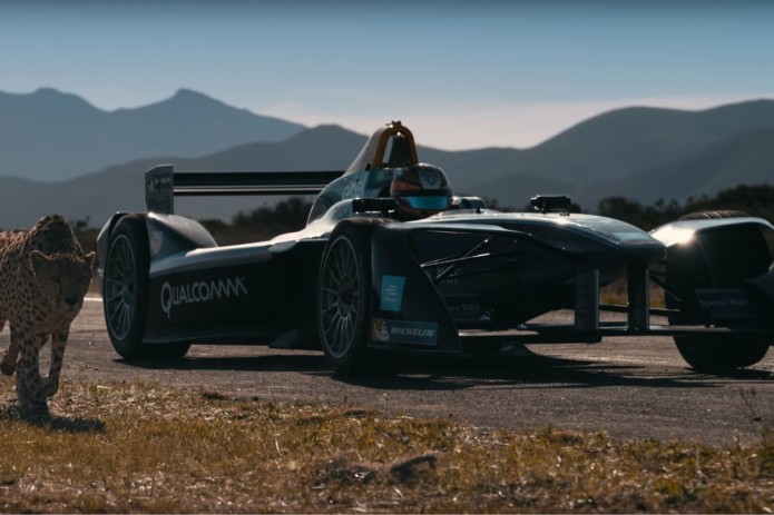 Гепард против машины, кто быстрее?