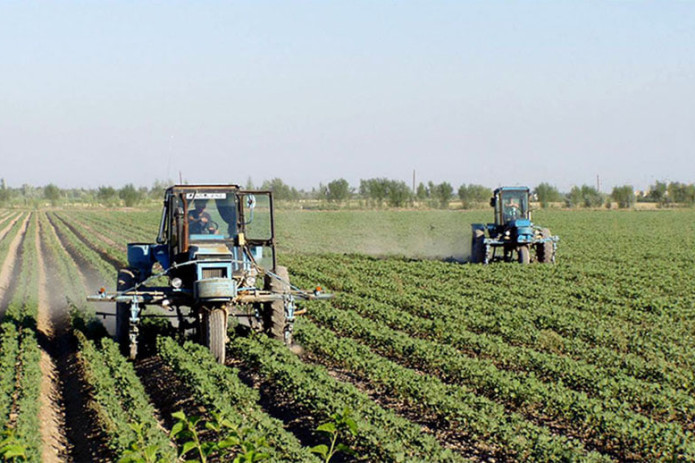 Qishloq xo'jaligi sug'urtasi jamg'armasining maqomi belgilandi