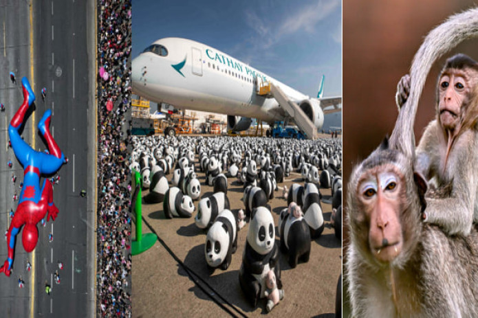 Chilining Santyago shahridagi Rojdestvo festivali, Gonkong xalqaro aeroportida panda haykallari, Tailandning Lopburi shahridagi makakalar. Hafta suratlari