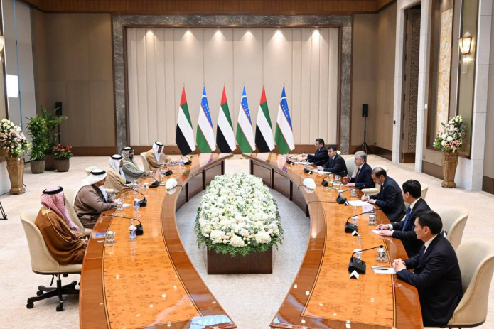 Oʻzbekiston Prezidenti BAA bilan yirik investitsiya loyihalarini amalga oshirish jarayonini muhokama qildi