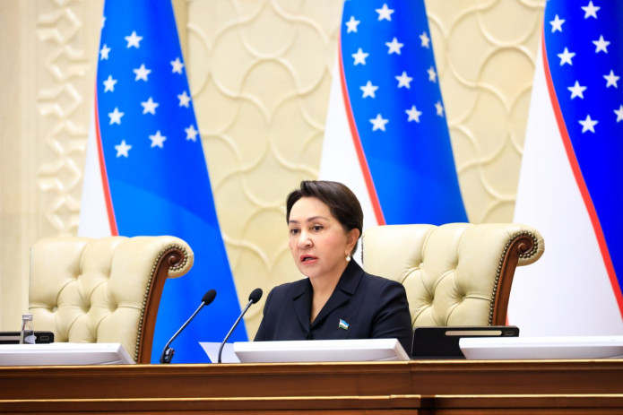 Senat 2026-yilgi davlat byudjetini maʼqulladi