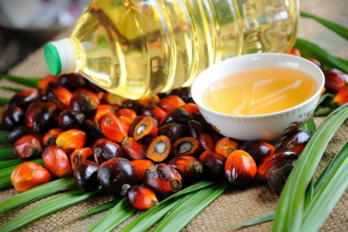 Малазийская MPOC планирует создать в Узбекистане хаб по переработке пальмового масла