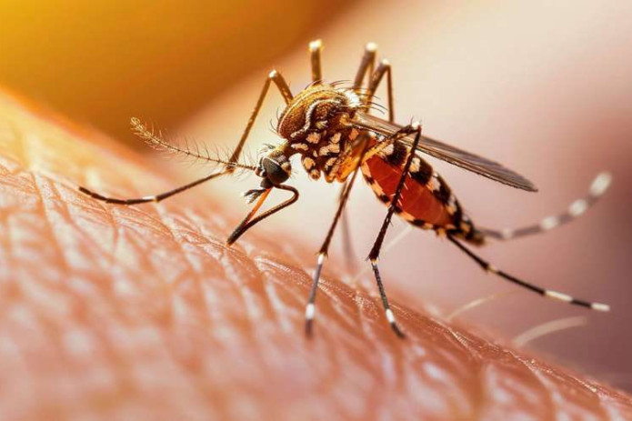 Ekspertlar Yevropaning 29 mamlakatida chikungunya virusi tarqalishi xavfidan ogohlantirdi — The Guardian