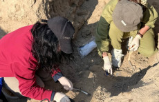 Qadimgi Qanqadan yangi topilma: X-XI asrlarga oid devoriy suratlar aniqlandi