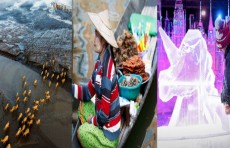 Dubay havo ko'rgazmasi 2023, Ispaniyadagi muz haykaltaroshlik festivali, Falastin uchun Flippinda o'tkazilgan namoyishlar. 15-noyabr suratlari