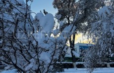 Kelasi hafta boshida kutilayotgan ob-havo ma'lumoti e'lon qilindi