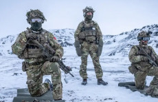 Donald Tramp: Daniya Grenlandiyani himoya qila olmaydi