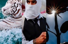 Берлиндаги "Пушти атиргул" ҳайкали, Бенгал йўлбарслари учун очилган сузиш ҳавзаси, Гавайидаги Килауеа вулқони. 12 сентябр суратлари