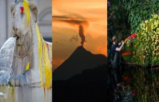 Turkiyadagi qordan zavqlanayotgan mushuk, Gvatemaladagi Fuego vulqoni otilishi, Londondagi festival. Kun suratlari