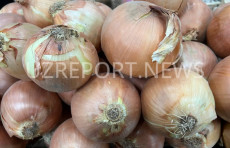 O‘zbekistonda yangi hosil piyozi narxlari rekord darajaga yetdi