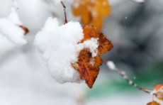 Dekabrda qanday ob-havo bo‘lishi kutilmoqda?